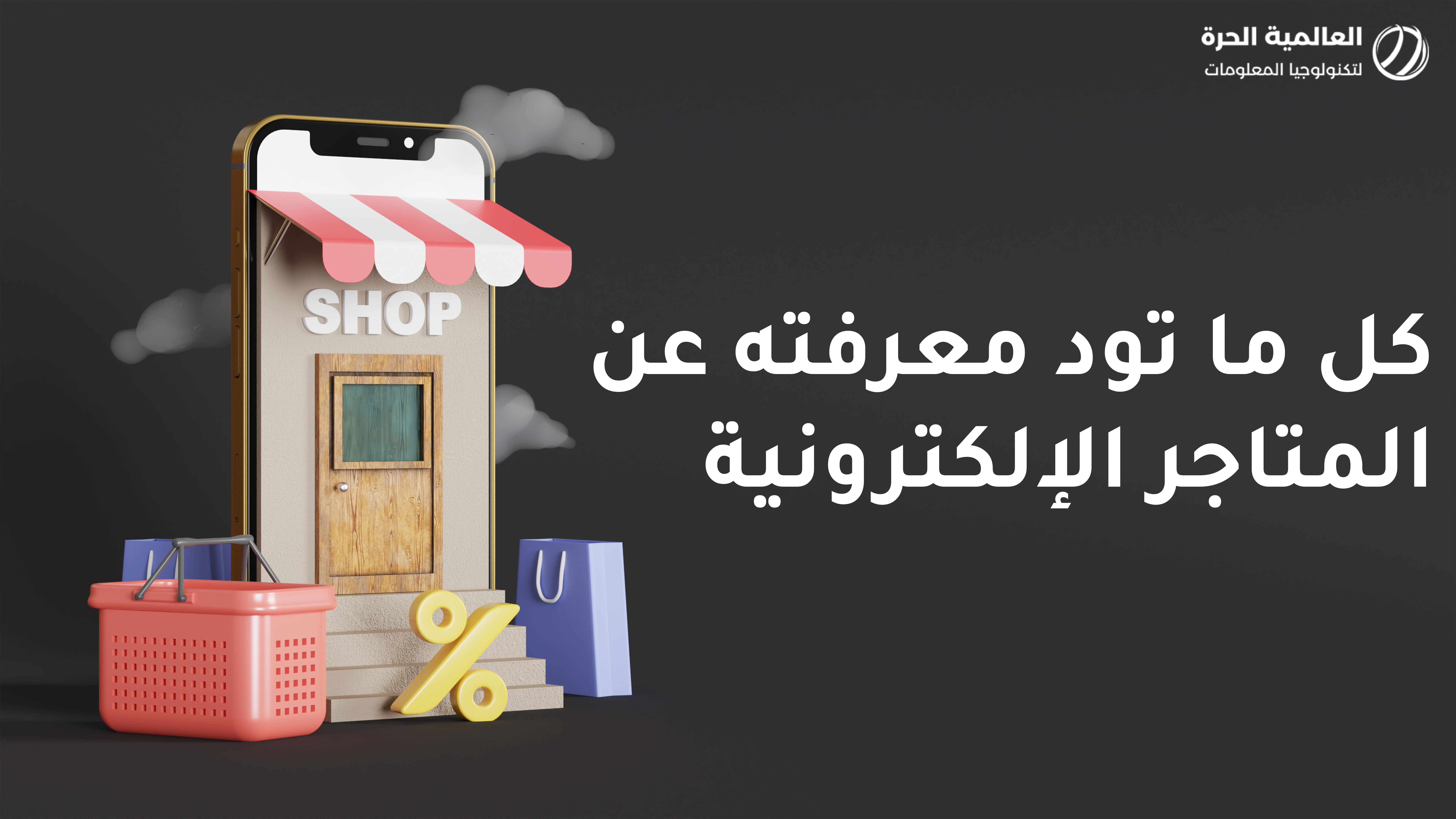 Everything You Need to Know About E-commerce Stores