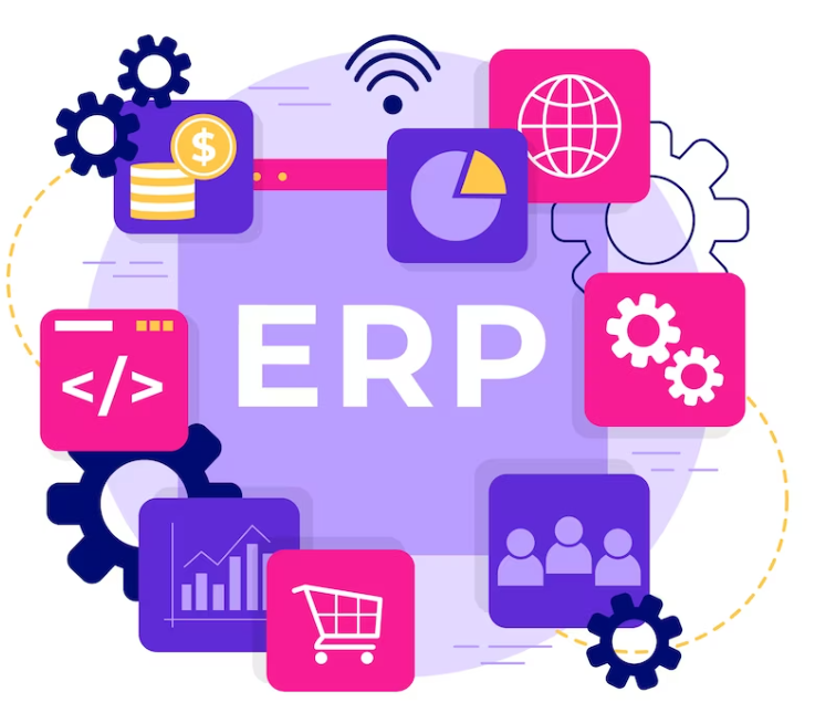 Enterprise Resource Planning Systems ERP