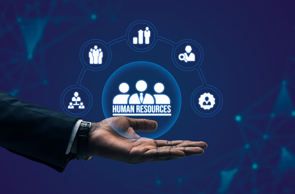 The Importance Of Human Resources Management System And Its Components