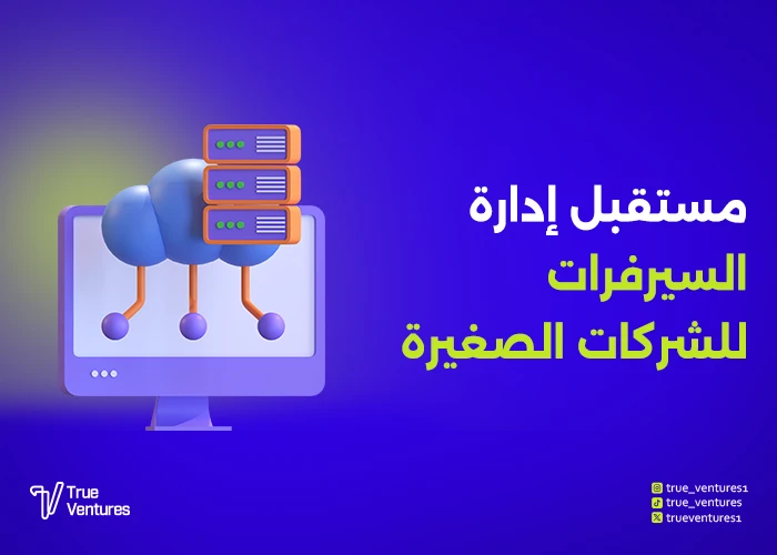 إدارة السيرفرات للشركات الصغيرة