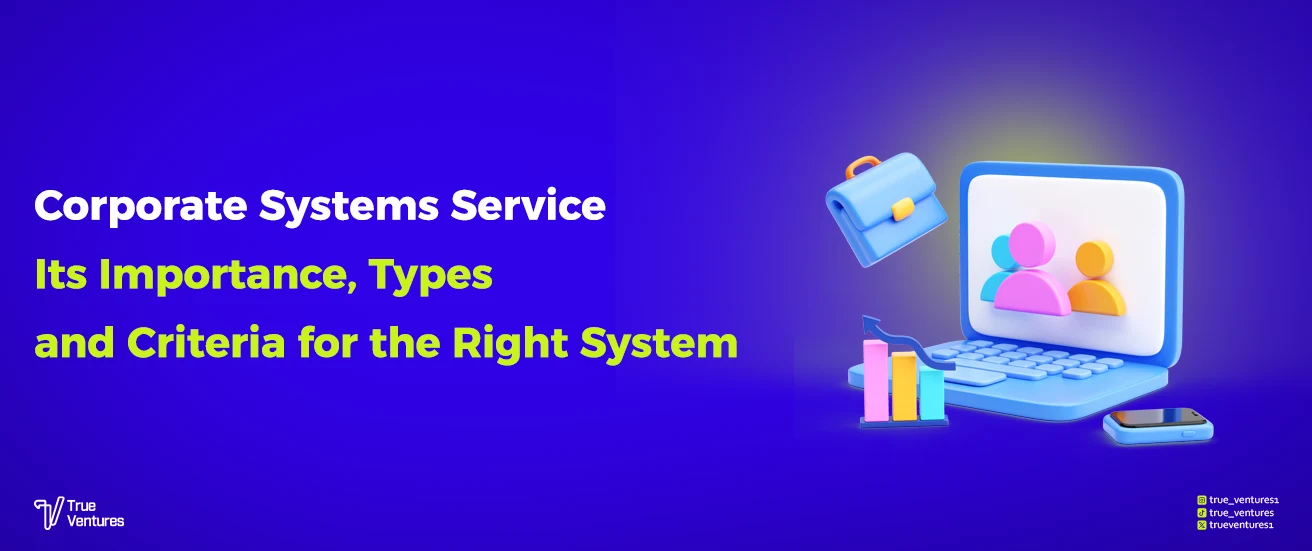 خدمة أنظمة الشركات أهميتها وأنواعها ومعايير النظام المناسب