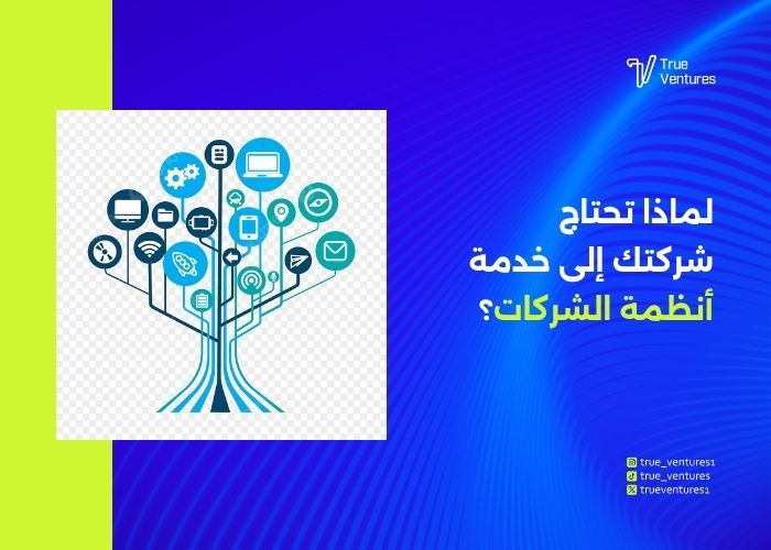 خدمة أنظمة الشركات أهميتها وأنواعها ومعايير النظام المناسب