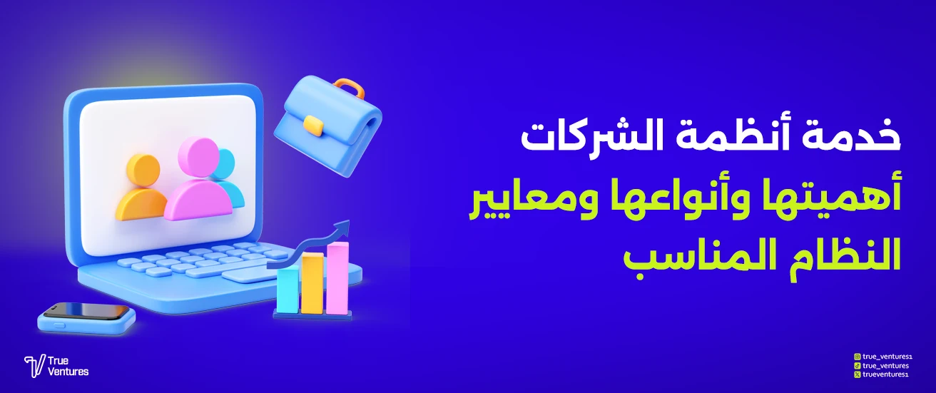 خدمة أنظمة الشركات أهميتها وأنواعها ومعايير النظام المناسب