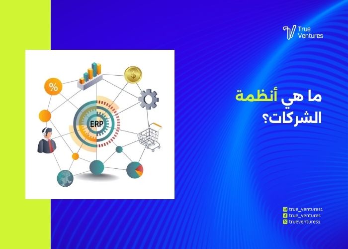 خدمة أنظمة الشركات أهميتها وأنواعها ومعايير النظام المناسب