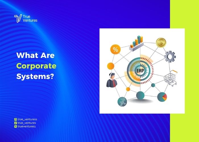 خدمة أنظمة الشركات أهميتها وأنواعها ومعايير النظام المناسب